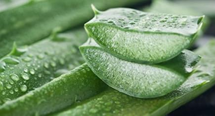 aloevera/musabbarvera juice 500 Ml