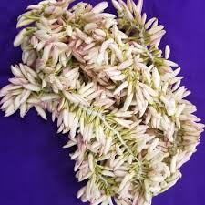 BSD Organics FreshY Mullai Flower Strings - 5 ft